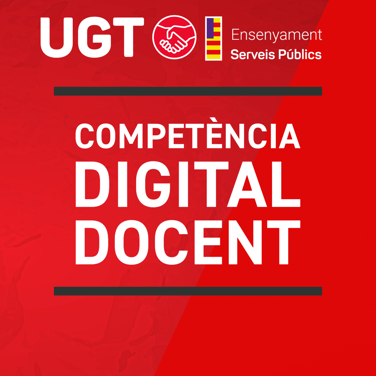 competència digital docent